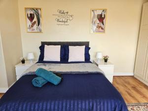 Homely double bed, TV, Wi-Fi and garden