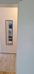 Aurora with the view