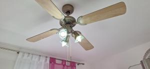 Aurora with the view