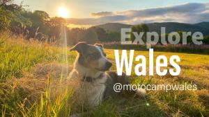 MotoCamp Wales - Lodges