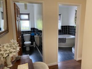 Cottage in the Countryside Near New Quay West Wales