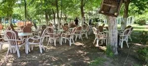 Salas potkovica - Vrbas