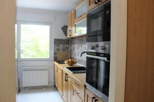 Apartman Black River