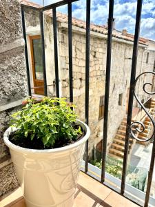 Hotels HOTEL U SANTA MARIA : photos des chambres