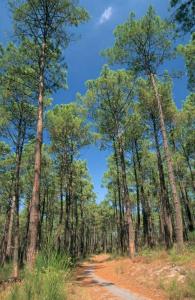 Sejours chez l'habitant QUIET PLACE : photos des chambres