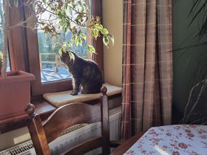 1Bed Apartment - Sleeps 4 - Terrace Parking Pets