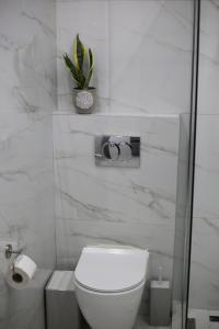 Our Home-Fully renovated apartments and studios by the sea