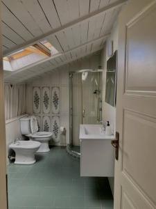 Cozy attic with terrace