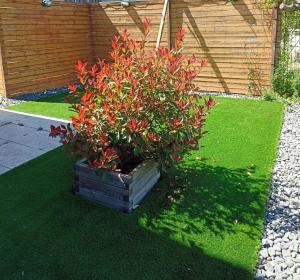 Mini Apartamento de 30 mts en Chaves