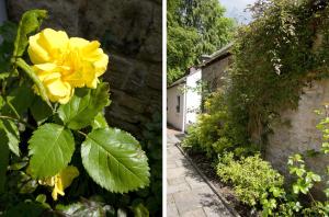 Bankton Rooms & Lodges