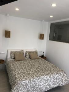 Estudios Peñiscola Ermitana 22