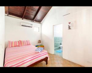 bungalow cactus frente ala playa