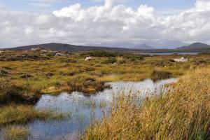 Carna Connemara Cottage