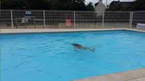 Mobil-home dans camping municipal