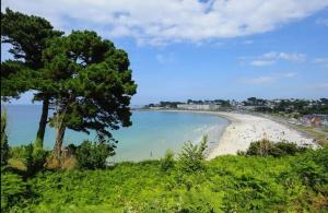 Campings Mobil-home dans camping municipal : photos des chambres