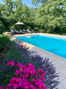 Campings Camping Gites et Tentes lodges Le Mas du Midi : photos des chambres