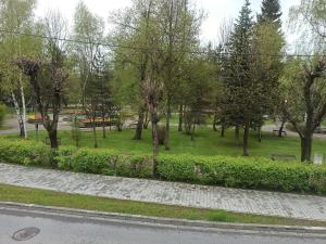 Apartament Parkowa