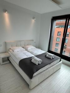 Black&White Angel Apartment