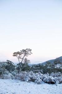 Bus & Hot Tub Secluded Eco Forest Retreat