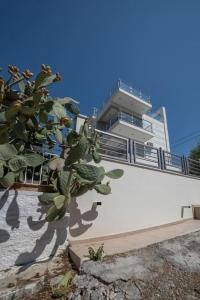 Beautiful lux Villa Ilias Salamina