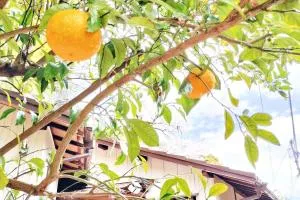 麻雀泊歓迎みかんハウスYugawaraHakoneAtami - Mongawa