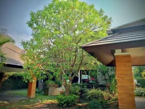 Chiang mai Happy Villa