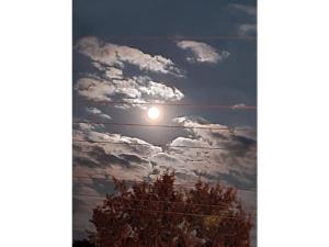 at Bauernsee Modern retreat