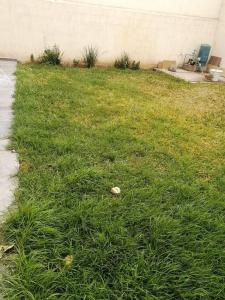 Amplia Casa en Sector Viñedos