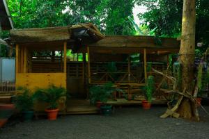 Janibichi Adventures hostel
