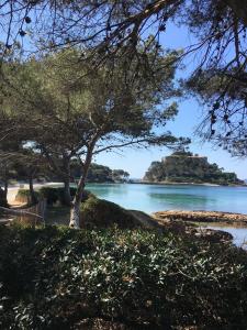 Appartements T3 FRONT de mer dernier etage vue mer Petit havre de paix pour vos vacances Emplacement unique vue mer panoramique a 180 degres pour ce T3 en face de la plage front de mer vue sur les iles 5 et dernier etage avec ascenseur : photos des chambres