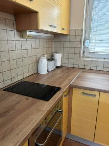 TOP Center Apartment