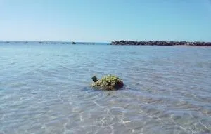 A'Mari - Holiday Home - Sciacca - 100mt dalla spiaggia Foggia - 100 meters from the beach - Cartabubbo