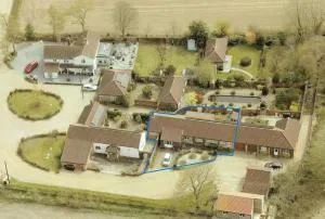 Primroses, Wood Farm - West Bradenham