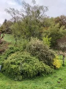 Hameau de loches - Arches