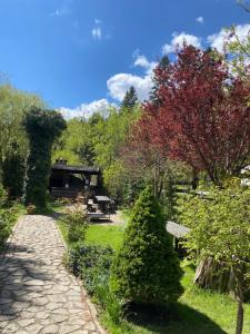 Apartament Pensiunea Liziera