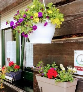 LANDHAUS KLAMBAUER Ferienapartments Thermennähe St Martins Therme - 弗劳恩基兴