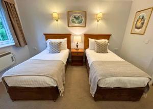 Twin Room room in New Forest Lodge