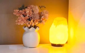 Specious ex-display 5 BDR house,up to 15 guests, Fully AC- Williams Landing