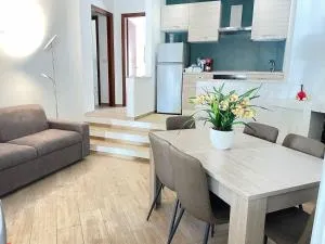 NadSan Case Sparse - Cavaliere