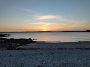 Appartements Evasion en bord de mer - 350m plage - Garage prive : Appartement 1 Chambre