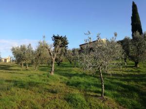 Cintoia, Tuscany Beautiful villa with private pool
