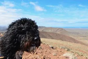 CASA UMA - Villaverde