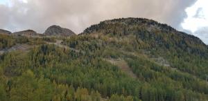 Appartements Neige et confort : photos des chambres