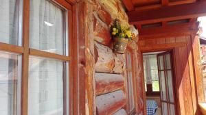 Appartamento Campitello House