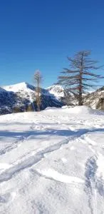 Neige et confort - 伊索拉2000