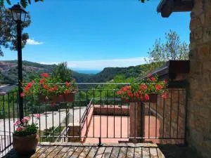 Il Sogno di Teresa - Licusati