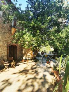 B&B / Chambres d'hotes Le mas petit : photos des chambres