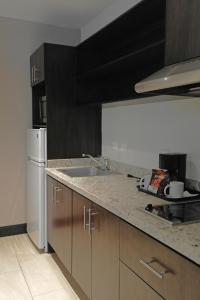 Áurea Hotel and Suites