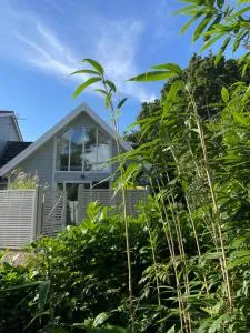 Squirrel - 绍斯沃尔德