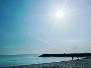 Bel appart front de mer proche centre, climatisation